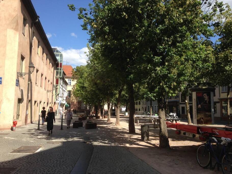 Appartamento Petite Austerlitz Strasburgo Esterno foto